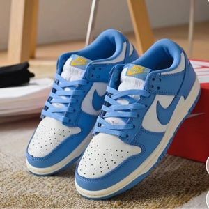 Nike Low Coast Sneakers
